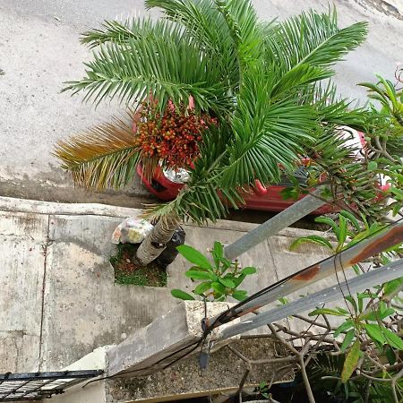 Colibri Lägenhet Playa del Carmen Exteriör bild